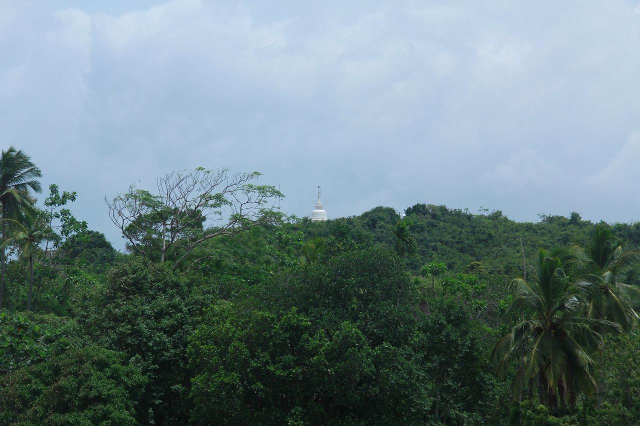 Mirissa Eco Hills Villa Exterior photo